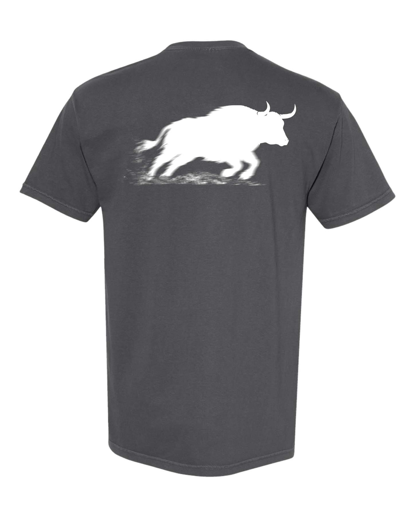 OX bull
