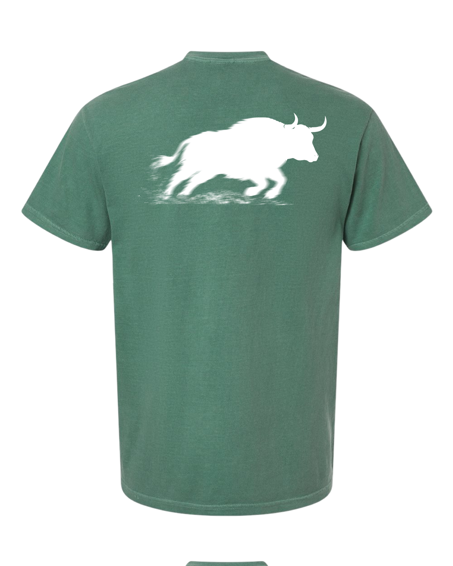 OX bull